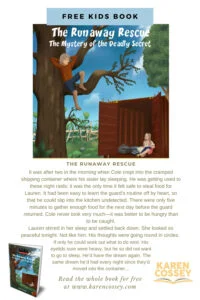 Free Mystery Book for 9-14-year-olds 1 Free Mystery Book